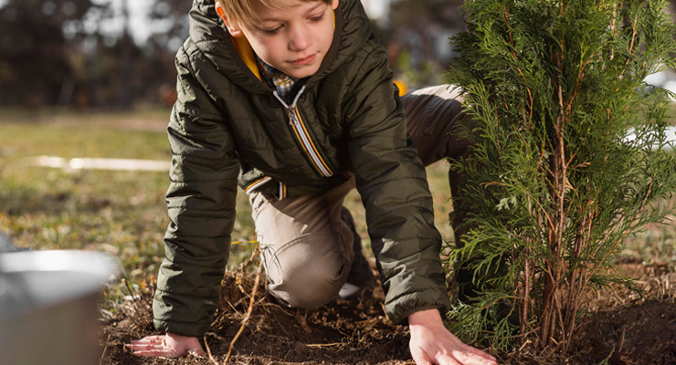 Kid Planting A Tree