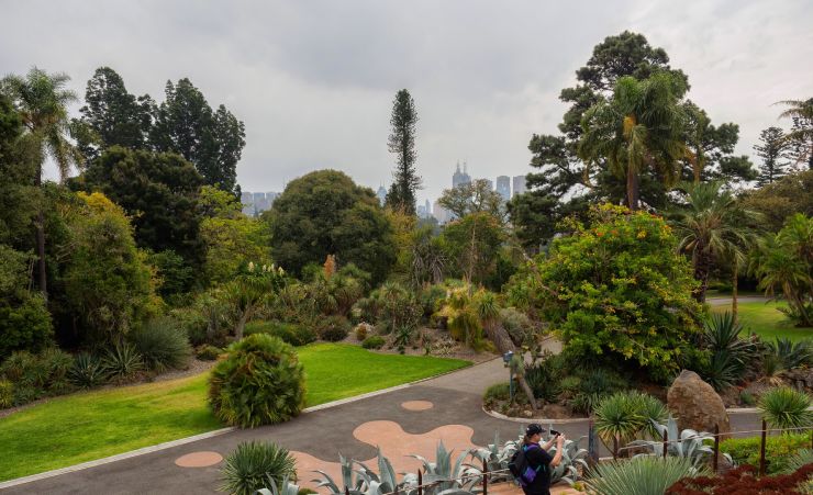 ROYAL BOTANIC GARDENS MELBOURNE