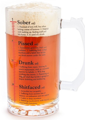 Drinktionary Beer Stein