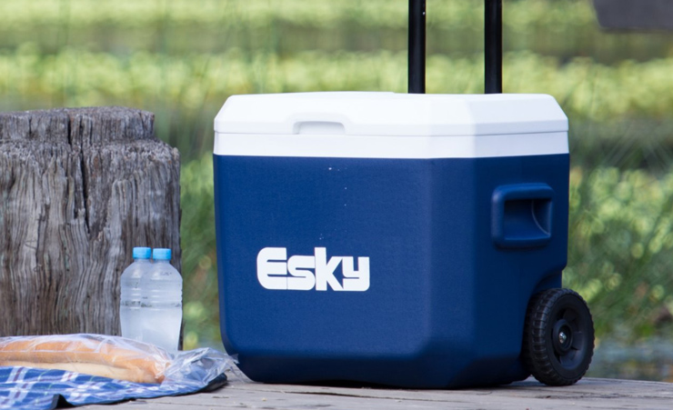 Esky