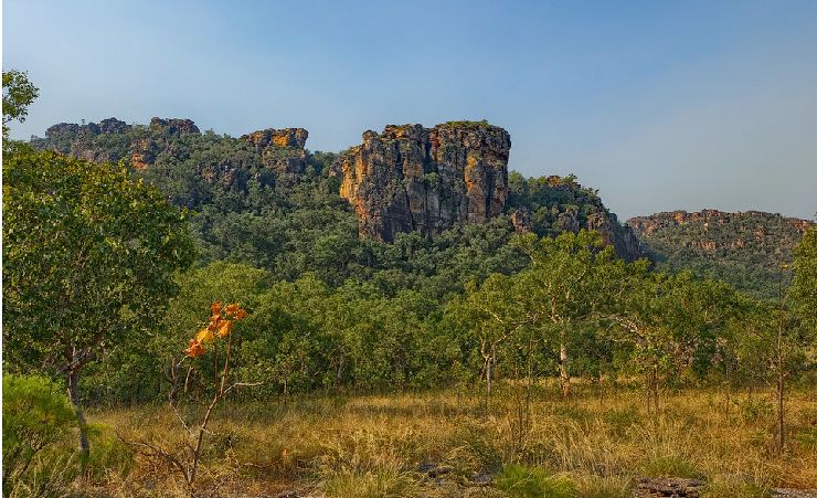 Kakadu National Park Nt