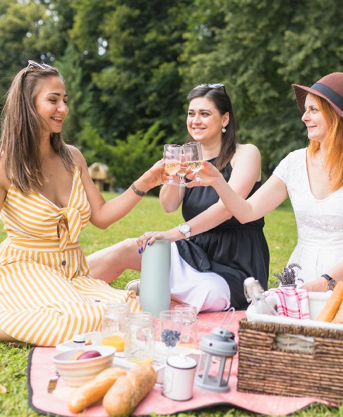 Summer Picnic Drinking Wine Women
