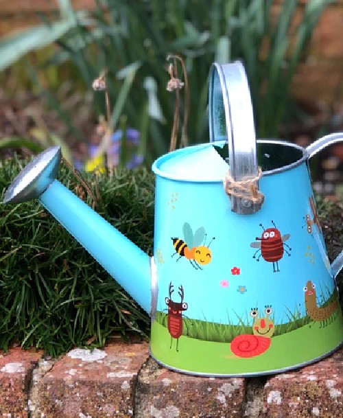 Diy Watering Can