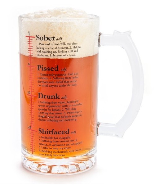 Drinktionary Beer Stein