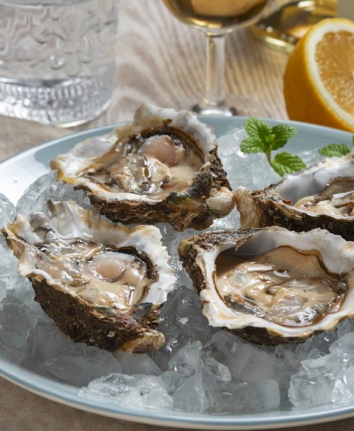 Oysters On A Plate