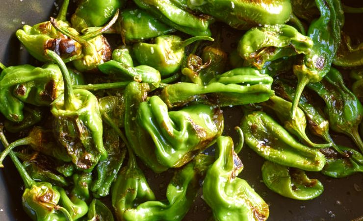Padron Peppers grilled