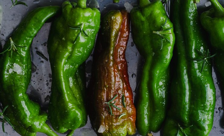 grilled poblano peppers