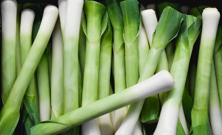 lots of leeks in a tray