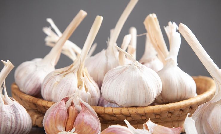 whole garlic bulb on plate