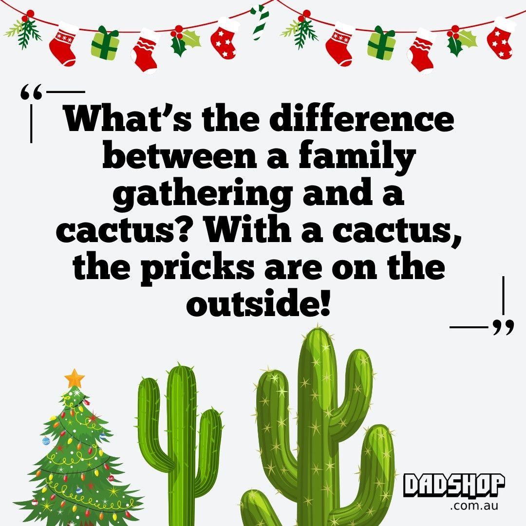 Christmas Joke Cactus