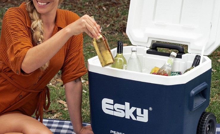 Hard cooler esky