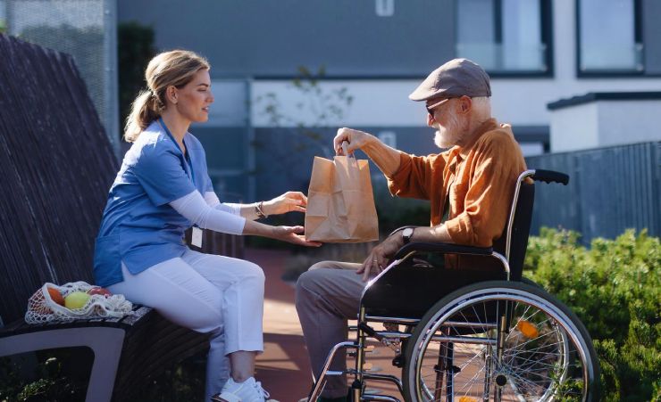 Dad In Wheelchair Picnic