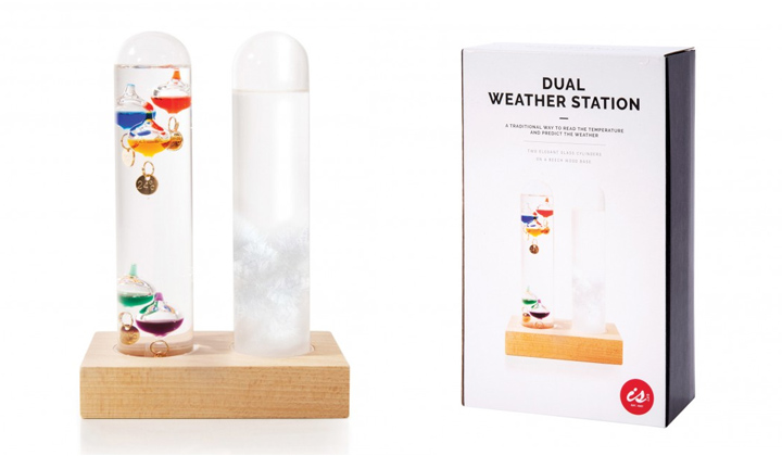 Dual Weather Station