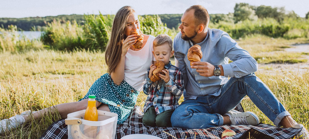 family having a picnic