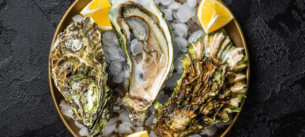 plate of oysters