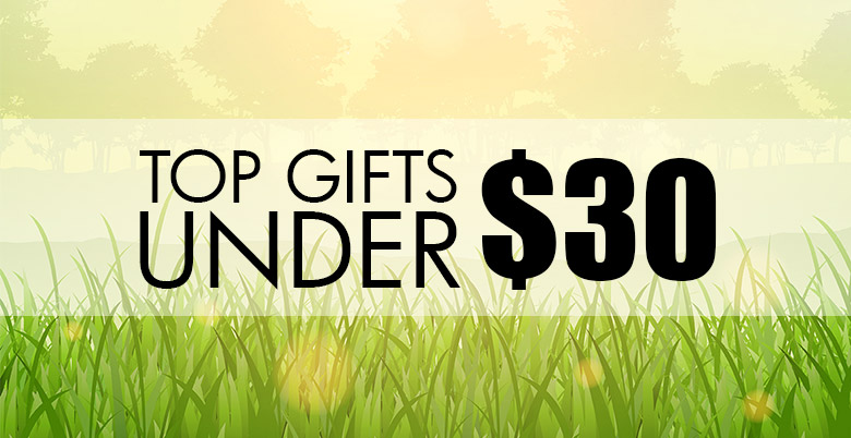 Top Gifts Under $30