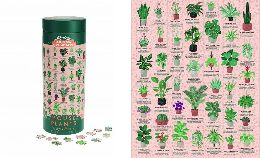 House Plants Lovers 1000pc Jigsaw Puzzle